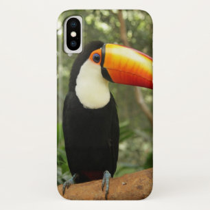 Toucan op boomtak Case-Mate iPhone case