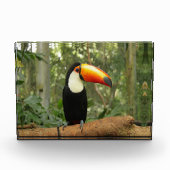 Toucan op boomtak fotoblokken (Voorkant)