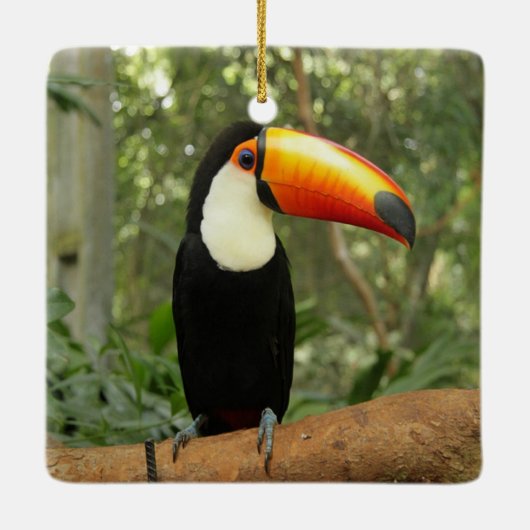 Toucan op boomtak keramisch ornament (Achterkant)