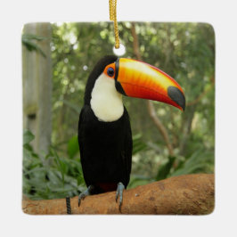 Toucan op boomtak keramisch ornament