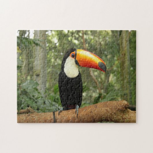 Toucan op boomtak legpuzzel (Horizontaal)