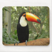 Toucan op boomtak muismat (Voorkant)