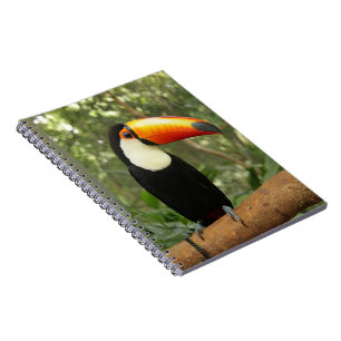 Toucan op boomtak notitieboek