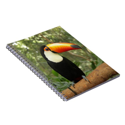 Toucan op boomtak notitieboek (Rechterzijde)