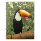 Toucan op boomtak notitieboek (Voorkant)