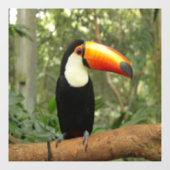 Toucan op boomtak raamsticker (Vel)