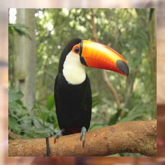 Toucan op boomtak raamsticker (Vel 2)