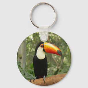 Toucan op boomtak sleutelhanger