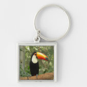 Toucan op boomtak sleutelhanger (Voorkant)