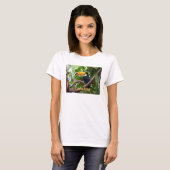 Toucan op Branch Bird Costa Rica T-Shirt (Voorkant volledig)