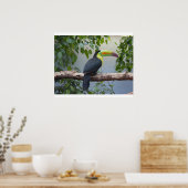 Toucan Photo Poster (Keuken)