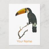 Toucan Portret Dier Tropische Vogel Ontwerp Feestdagenkaart (Voorkant)