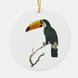 Toucan Portret Dier Tropische Vogel Ontwerp Keramisch Ornament