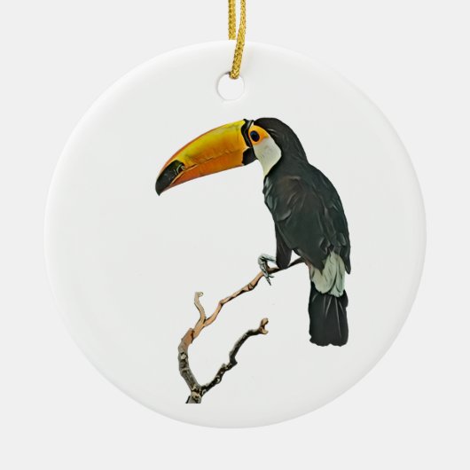 Toucan Portret Dier Tropische Vogel Ontwerp Keramisch Ornament (Voorkant)