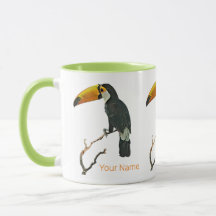 Toucan Portret Dier Tropische Vogel Ontwerp