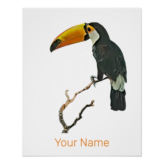 Toucan Portret Dier Tropische Vogel Ontwerp Perfect Poster (Voorkant)