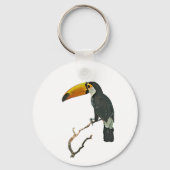 Toucan Portret Dier Tropische Vogel Ontwerp Sleutelhanger (Voorkant)
