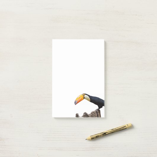 Toucan Post-it® Notes (Op bureau)