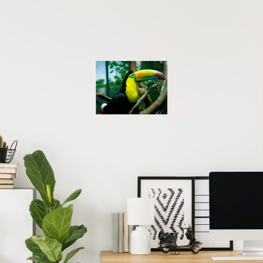 Toucan Poster (Thuiskantoor)