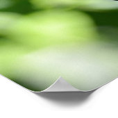 Toucan Poster (Hoek)