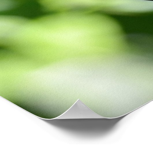 Toucan Poster (Hoek)