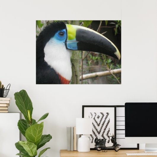 Toucan Poster (Thuiskantoor)
