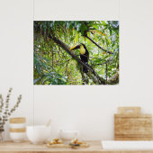 Toucan Poster (Keuken)