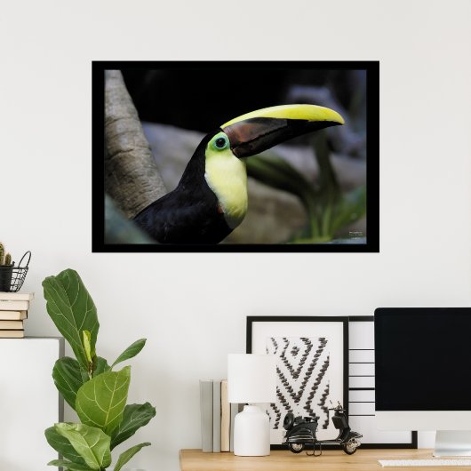 Toucan Poster (Thuiskantoor)
