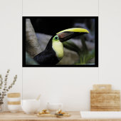 Toucan Poster (Keuken)