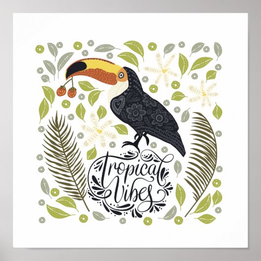 Toucan Posters: De perfecte manier om wat plezier  Poster (Voorkant)
