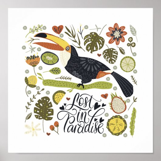 Toucan Posters: Een must-have voor elke Toucan lie Poster (Voorkant)