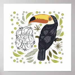 Toucan-Posters Poster