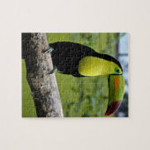 TOUCAN-puzzel Legpuzzel (Horizontaal)