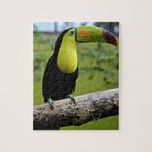 TOUCAN-puzzel Legpuzzel (Verticaal)