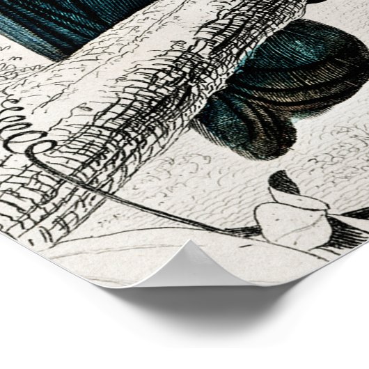 Toucan Ramphastos Illustratie Art Print (Hoek)