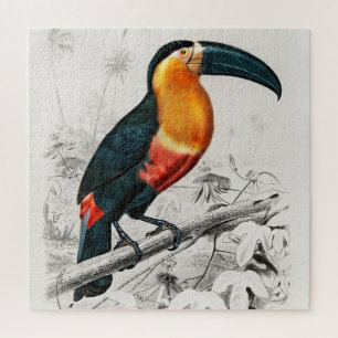 Toucan Ramphastos Illustratie Vintage Kunstprint Legpuzzel