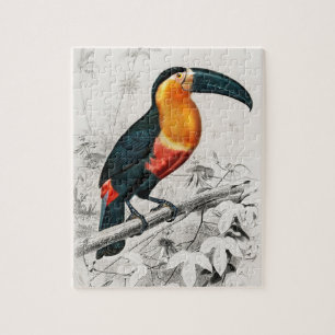 Toucan Ramphastos Illustratie Vintage Kunstprint Legpuzzel