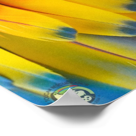 Toucan Rescue Ranch - Scarlet Macaw Poster (Hoek)