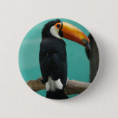 Toucan Ronde Button 5,7 Cm (Voorkant)