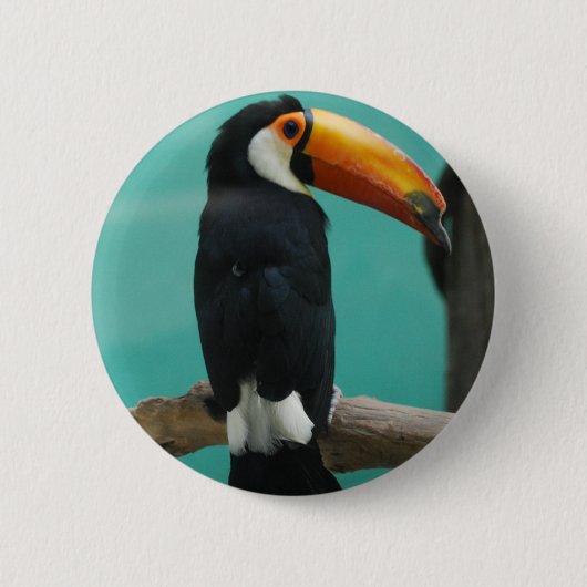Toucan Ronde Button 5,7 Cm (Voorkant)
