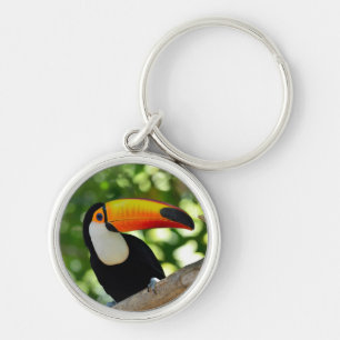 Toucan Sleutelhanger