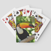 Toucan Speelkaarten (Achterkant)