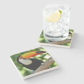 Toucan Stenen Onderzetter (Zijkant)