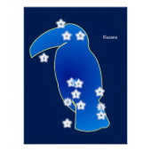 Toucan (sterrenbeeld) perfect poster (Voorkant)