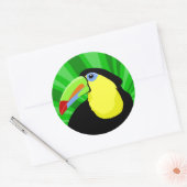 Toucan Stickers (Envelop)