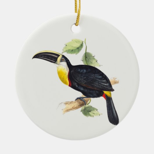Toucan-structuur Keramisch Ornament (Voorkant)