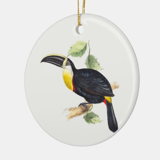 Toucan-structuur Keramisch Ornament (Links)
