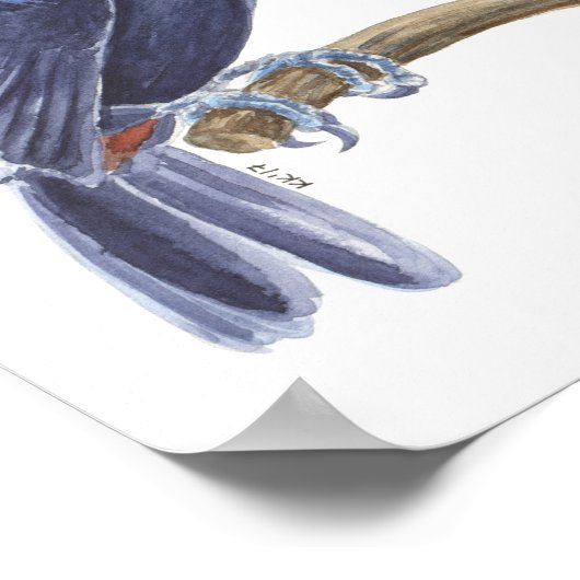 Toucan, tropical bird poster (Hoek)