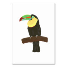 Toucan Tropical Bird Reading Flashcards voor volwa