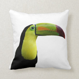 Toucan tropical exotic photoanimal kussen